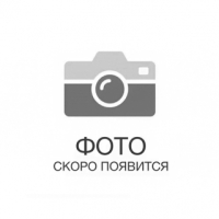 Фото игрока